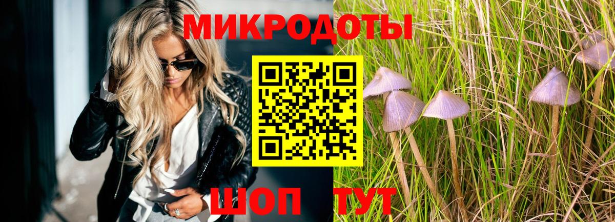 Галлюциногенные грибы прущие грибы Сыктывкар