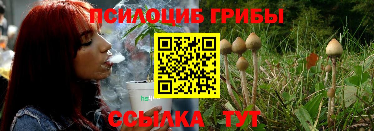 Сыктывкар  Галлюциногенные грибы мухоморы  Вход с VPN  Галлюциногенные грибы прущие грибы 